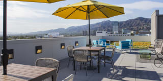 The Brand Gallery 51