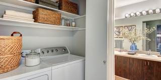 Signature Pointe Gallery 23