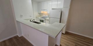 Beautifully Renovated Ground-Floor 2 Bedroom – Over 900 Sq. Ft.! Gallery 5
