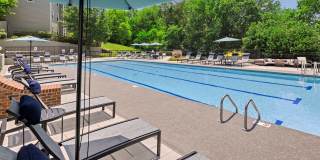 The Magnolia Apartments Gallery 19