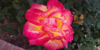 3287 Sierra Drive Gallery 4