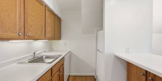 419 Denniston St Gallery 14