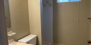 STUDENTS WELCOME! 4 Bed 2 Bath Home in West Ft Collins w/ Garage and Fenced Yard Gallery 44