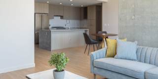 The Merian Gallery 15