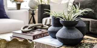Aventine at Wilderness Hills Gallery 7