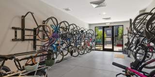 Bexley Summerhill Gallery 37