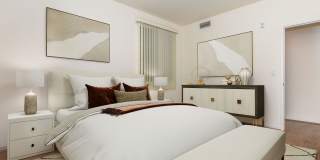 Vineyards Gallery 192