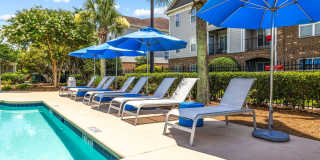 Olympus Carrington Gallery 20