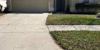 1805 FOREST CREEK Drive Gallery 1