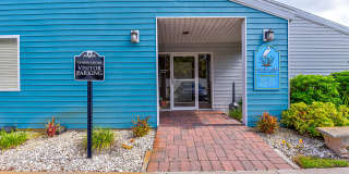 Aaron Lake Gallery 19