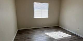 No Deposit Gallery 12
