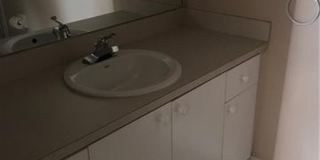 4109 Bellasol Circle #1114 Gallery 2