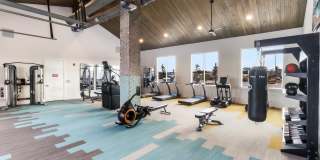 The Emmett on Montague Gallery 21