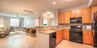 Olympus at Daybreak Gallery 11