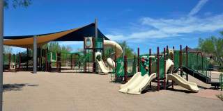 Spacious 3 Bedroom home in Vistancia Gallery 46