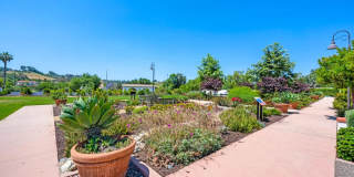 4110 Sitio Flor - 1 Gallery 25