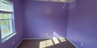 2005 Banister Loop Gallery 12