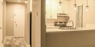 The Peacock Gallery 4