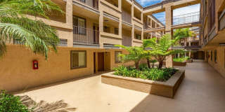 Elan View Pointe Gallery 5