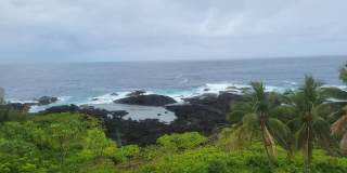 2405 Kalanianaole Street - 1 Gallery 19