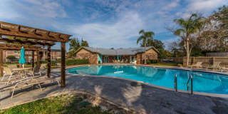 Sea Oats Sea Oats Gallery 45