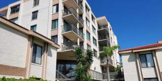 6268 Palma Del Mar Blvd S Apt 304 6268 Palma Del Mar Blvd S Apt 304 Gallery 1