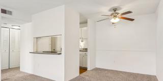 Andover Park Gallery 12