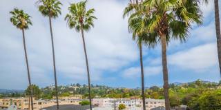 1815 N. Harvard Blvd. Gallery 13