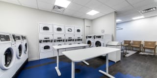 Dorchester Gallery 14