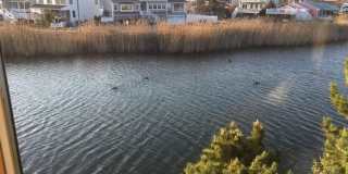 127 Trenton Avenue Gallery 31