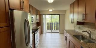 1755 lake cook Road Gallery 9