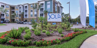 Sola Gallery 40