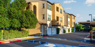 Paseos At Magnolia Luxury Apartment Homes Gallery 100