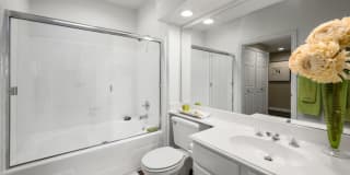 The Lanesborough Apartments Gallery 21