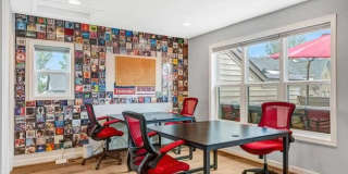12258 SESSILE CMNS Gallery 14