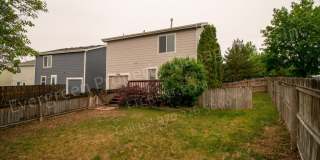 Beautiful 3 bed, 2 bath in Provincetown - Fort Collins Gallery 28