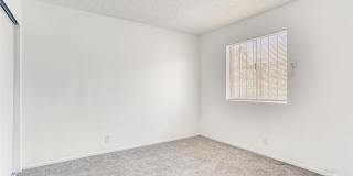 24 Rose Circle Gallery 15