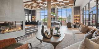 The Deveraux Gallery 2