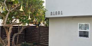 31891 Lupin Place Gallery 2