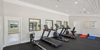 The Palms at Countryside Apartments Gallery 9