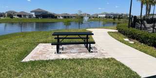 Isles of Lake Nona!! 3 Bedroom 2.5 Bathroom Townhome Gallery 34