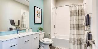 Velo Forest Hills Gallery 4