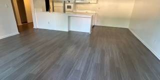 Spacious 2 Bed / 2 Bath with Large Balcony – Pet Friendly! Gallery 9