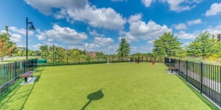 Twin Lake Towers Apartments Gallery 17