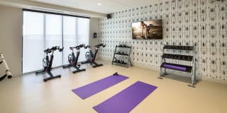 The Glenn Gallery 16