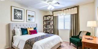 24347 North Oasis Boulevard Gallery 19