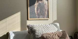 College Town Mankato - Student Housing Gallery 29