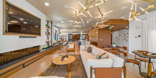 Harwood on Cave Creek Gallery 19