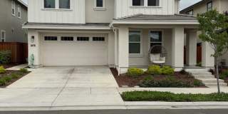 One Lake Community! Gallery 1