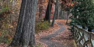13116 NESTLEWOOD CT Gallery 56